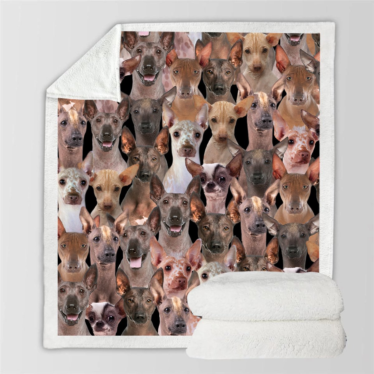 cd3c6f6c80e72f2b7a9af1c921d7af35